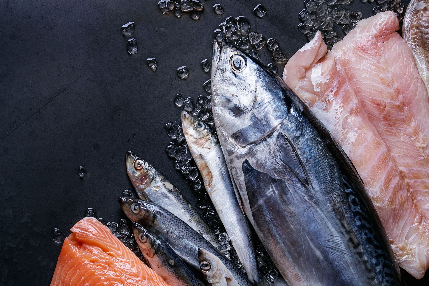 pescado