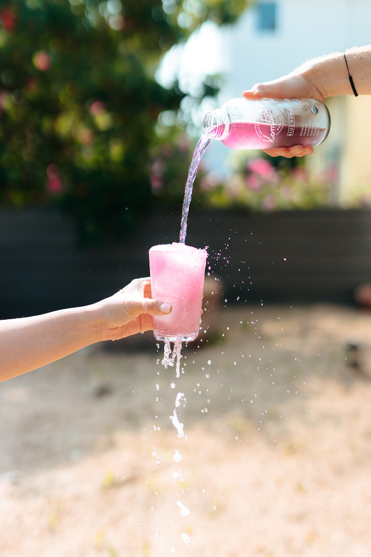 kombucha